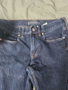 Everlane Dark Indigo Slim Jeans